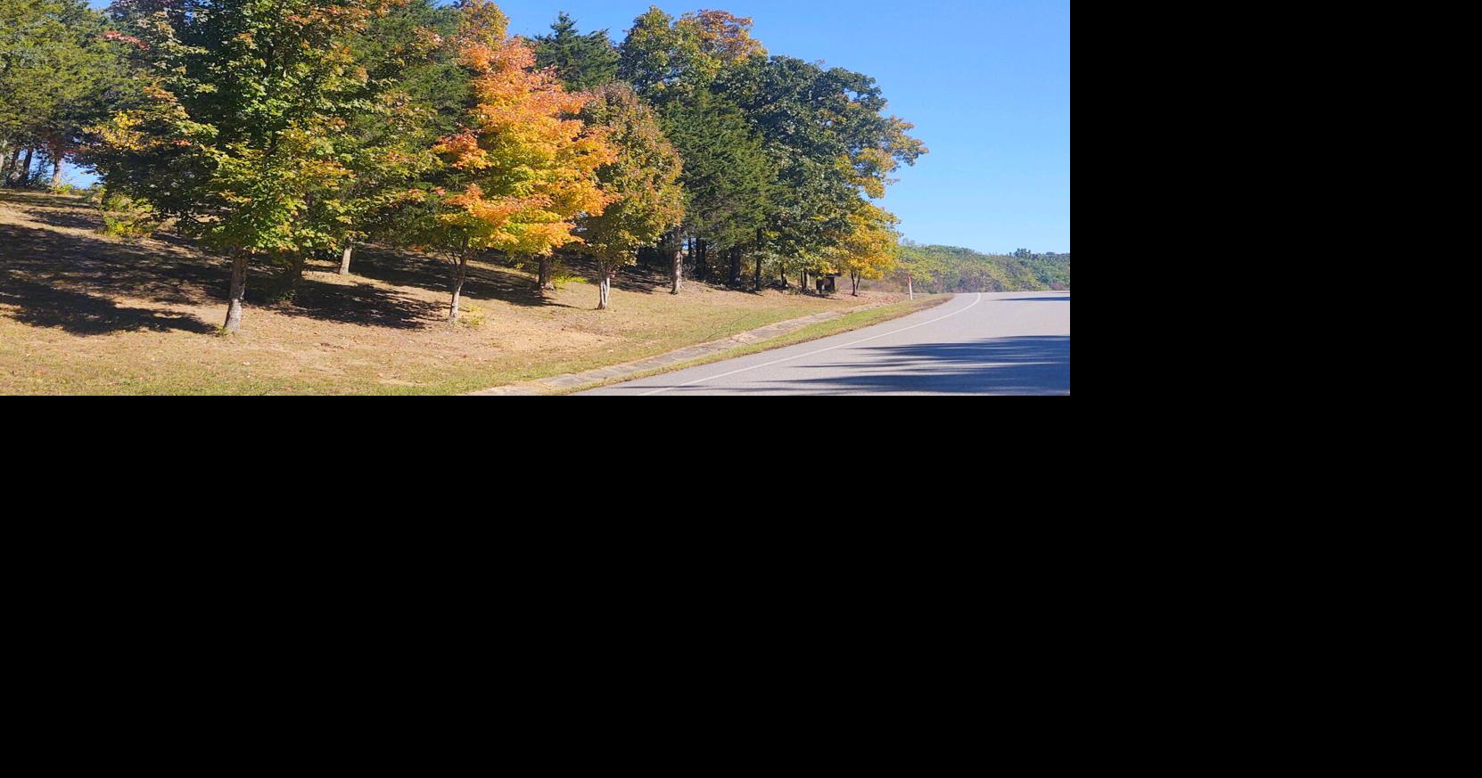 A Few Trees Starting To Show Colors Local News