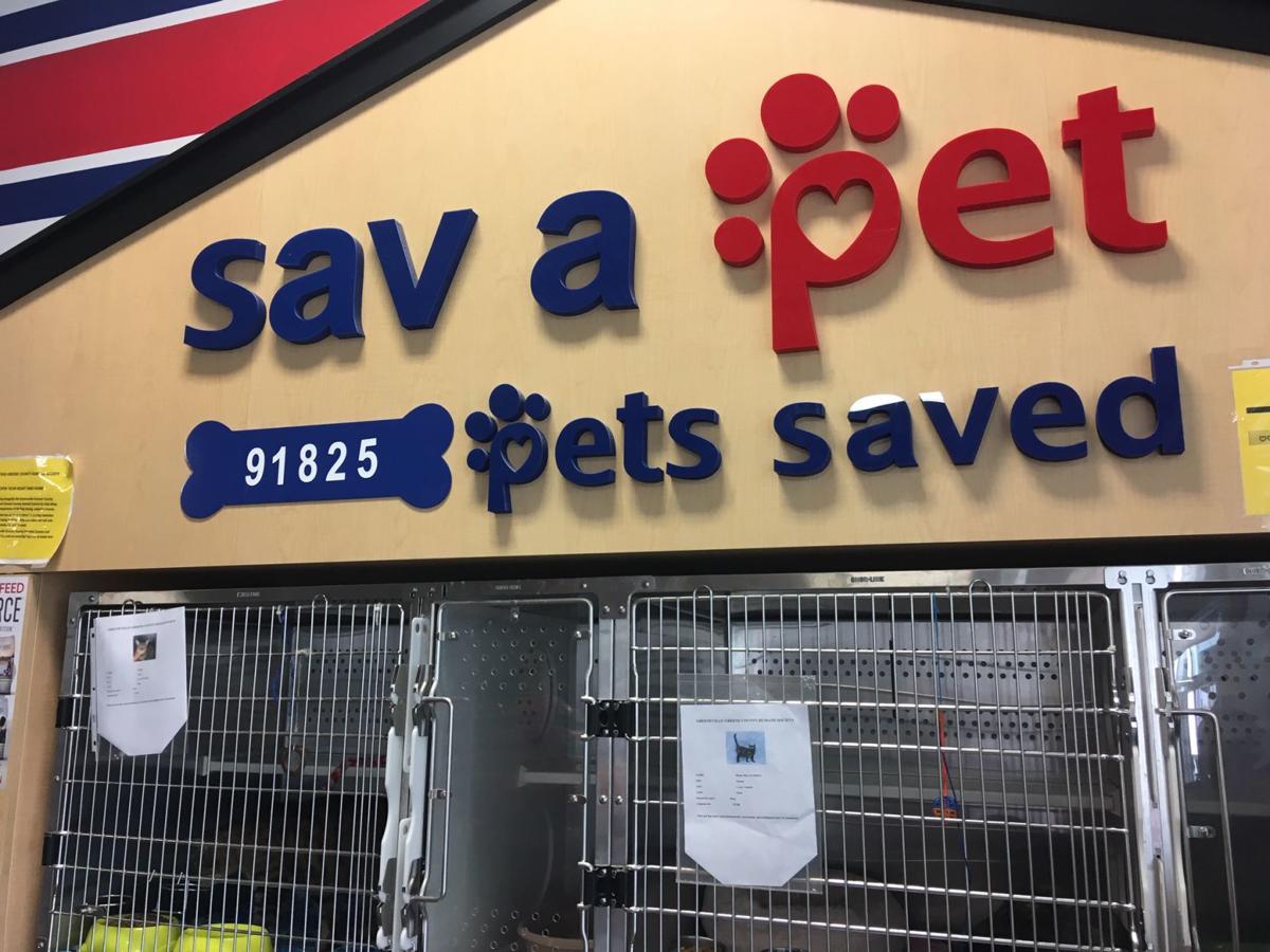 ANIMAL TALK Petsense Is Host For Humane Society Adoptable Cats