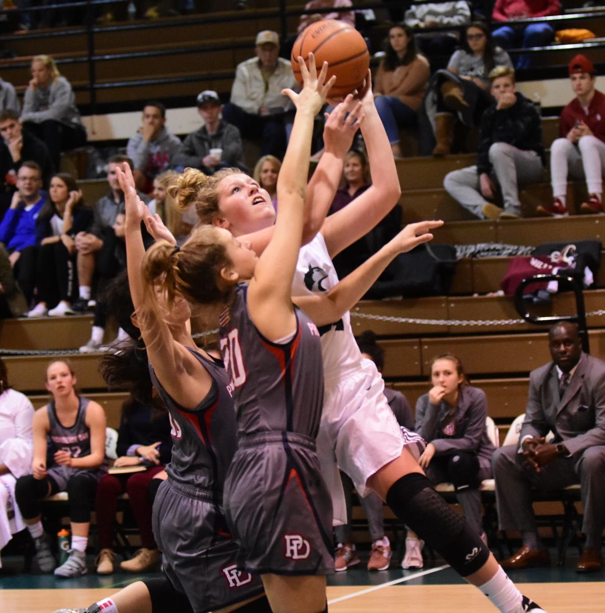 Providence Day Nips North Greene Greeneville Greenevillesun Com