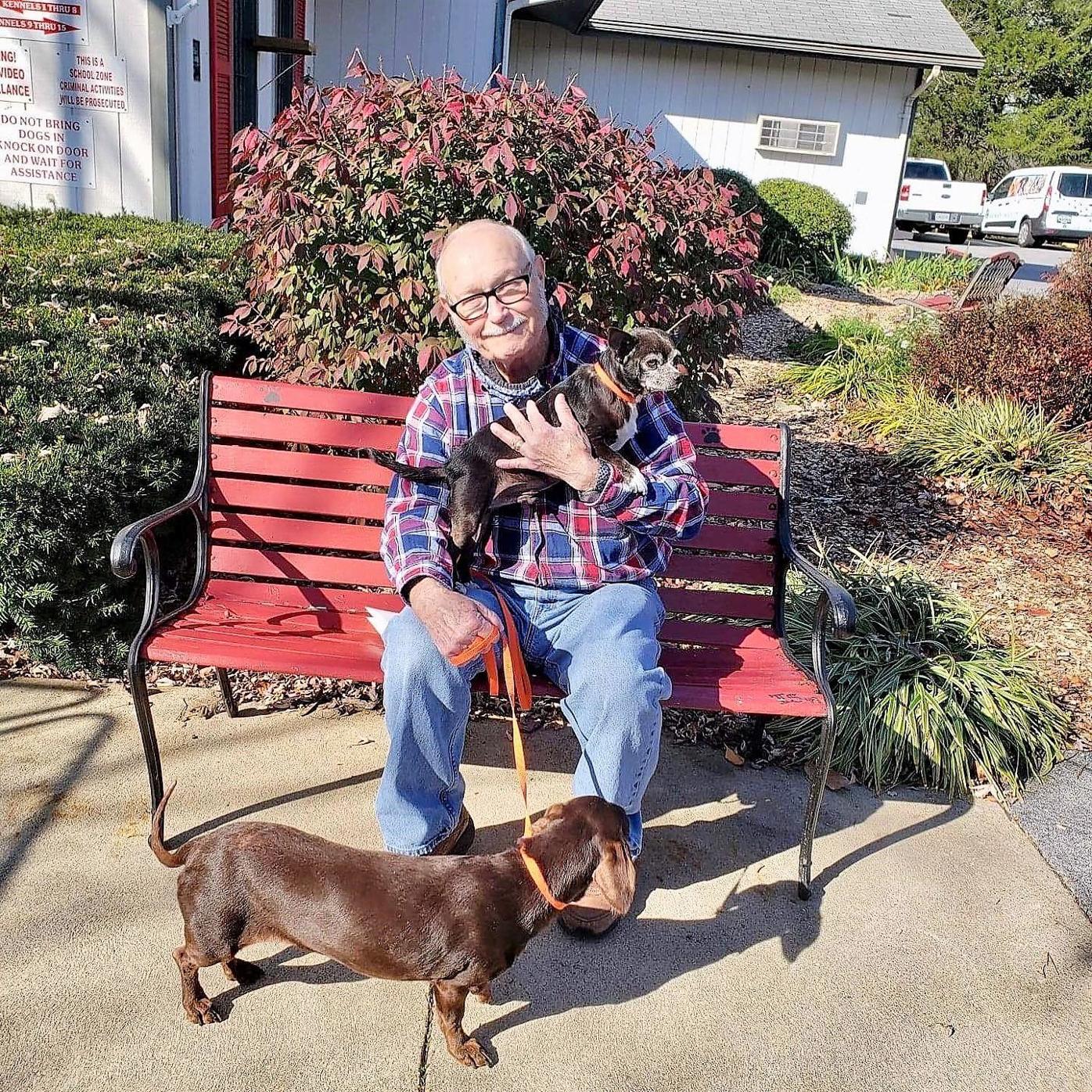Animal Talk Humane Society Has 86 Adoptions In November Animal Talk Greenevillesun Com the greeneville sun