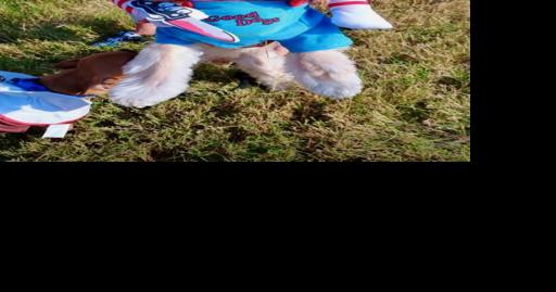 Pets in Halloween costumes at Tractor Supply Greeneville