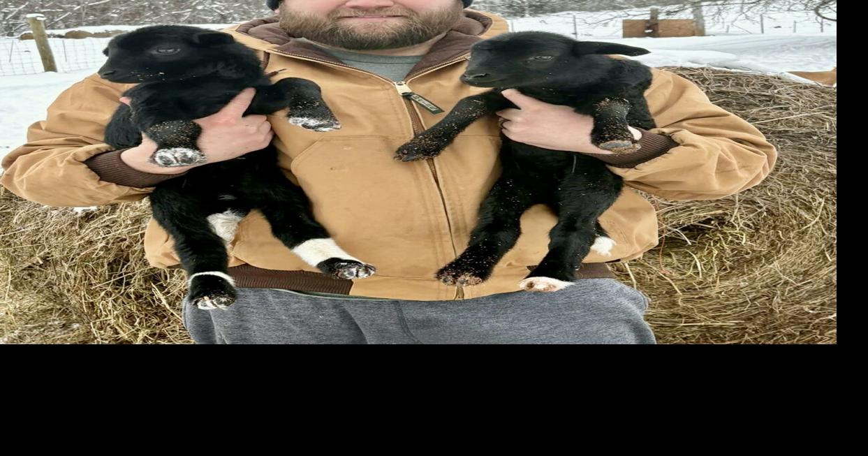 Houston Valley Farm Gets Special Weekend Delivery | Local News ...