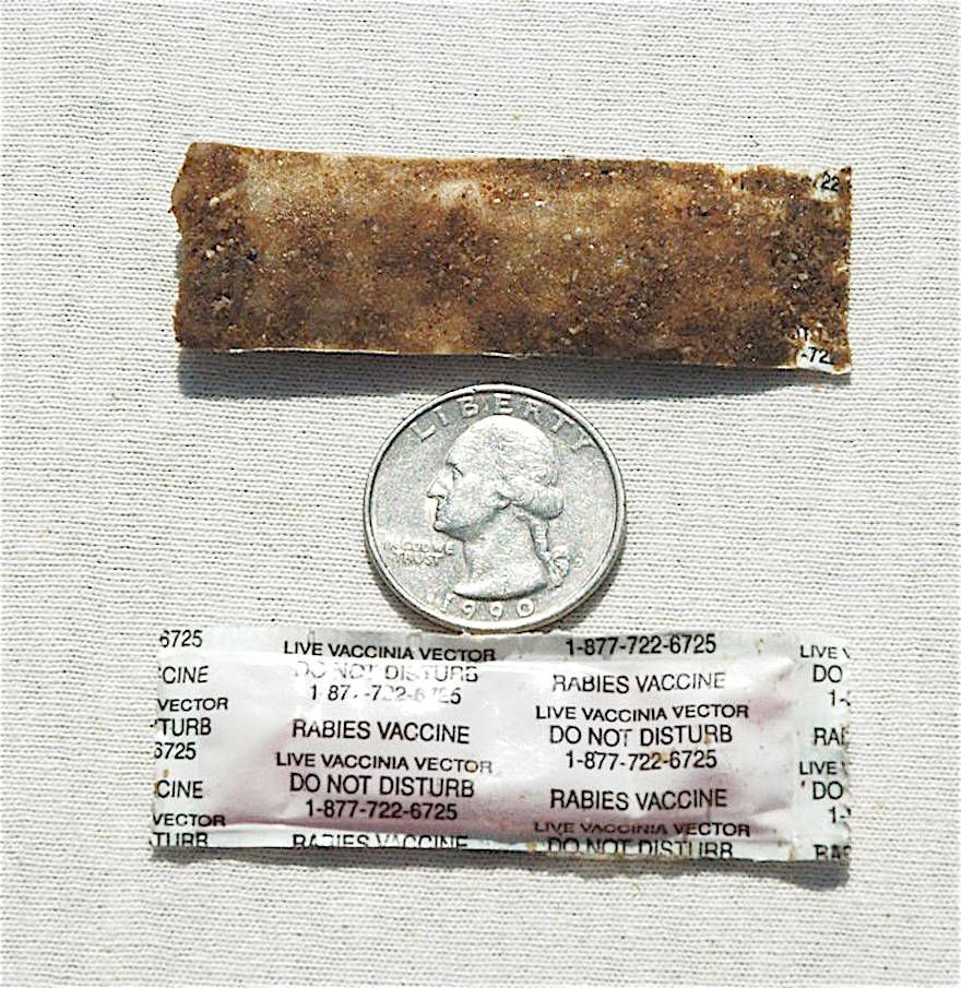 Aerial Drops Of Rabies Vaccine Taking Place Local News