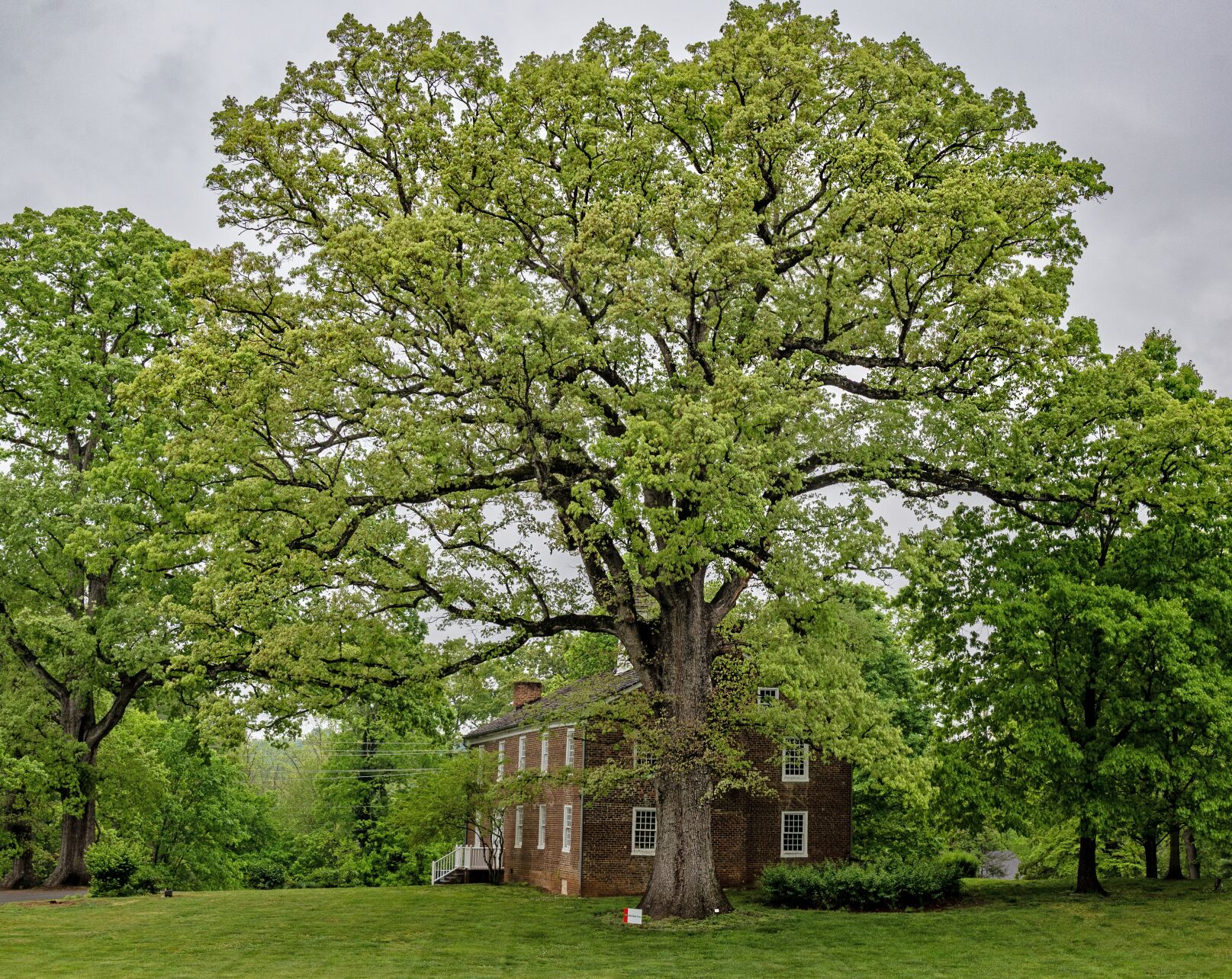 Old Oak Festival Brings Community Together at Tusculum University ...