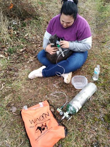Pets Rescued From House Fire, Fundraiser Underway | Local News ...
