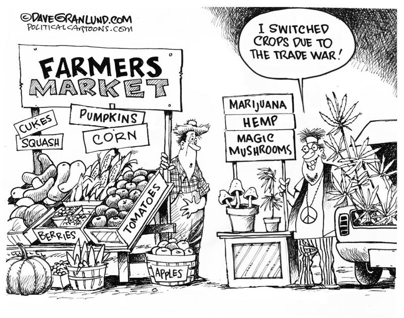 Alternative Crops Editorial Cartoons