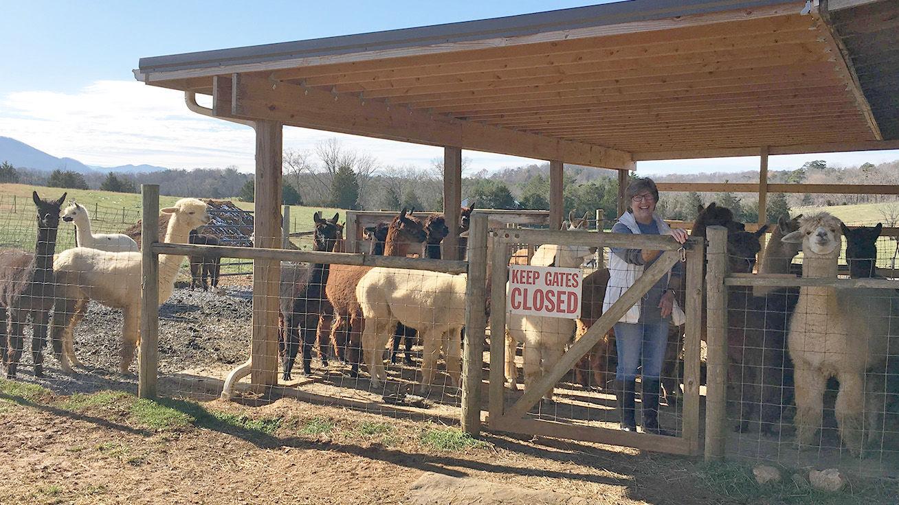 Two Roots Farm Hosting Weekend Holiday Market And Open House - Vimarsana News