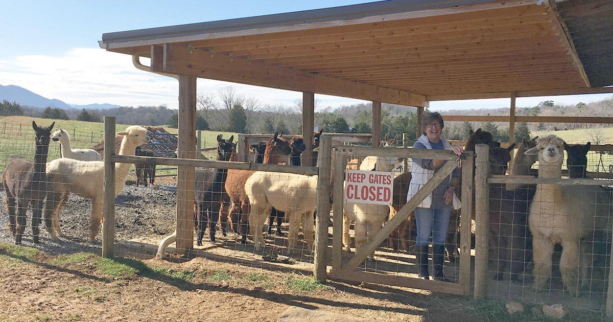 Two Roots Farm Hosting Weekend Holiday Market And Open House | Local ...