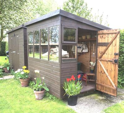 7 Things To Consider When Buying A Shed Accent Greenevillesun Com
