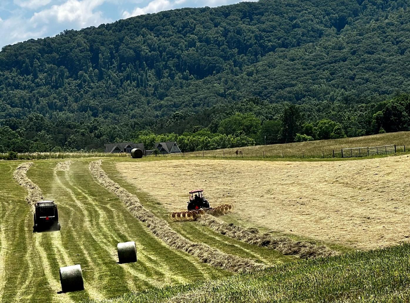 Make Hay While The Sun Shines | Local News | greenevillesun.com