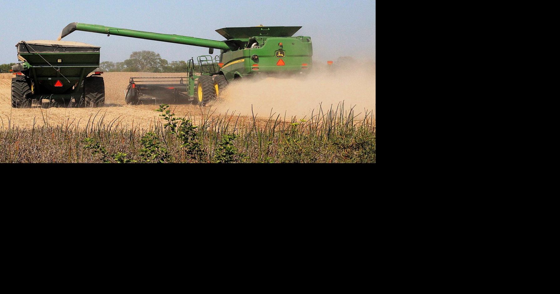 Expanding the market for domestic soybeans