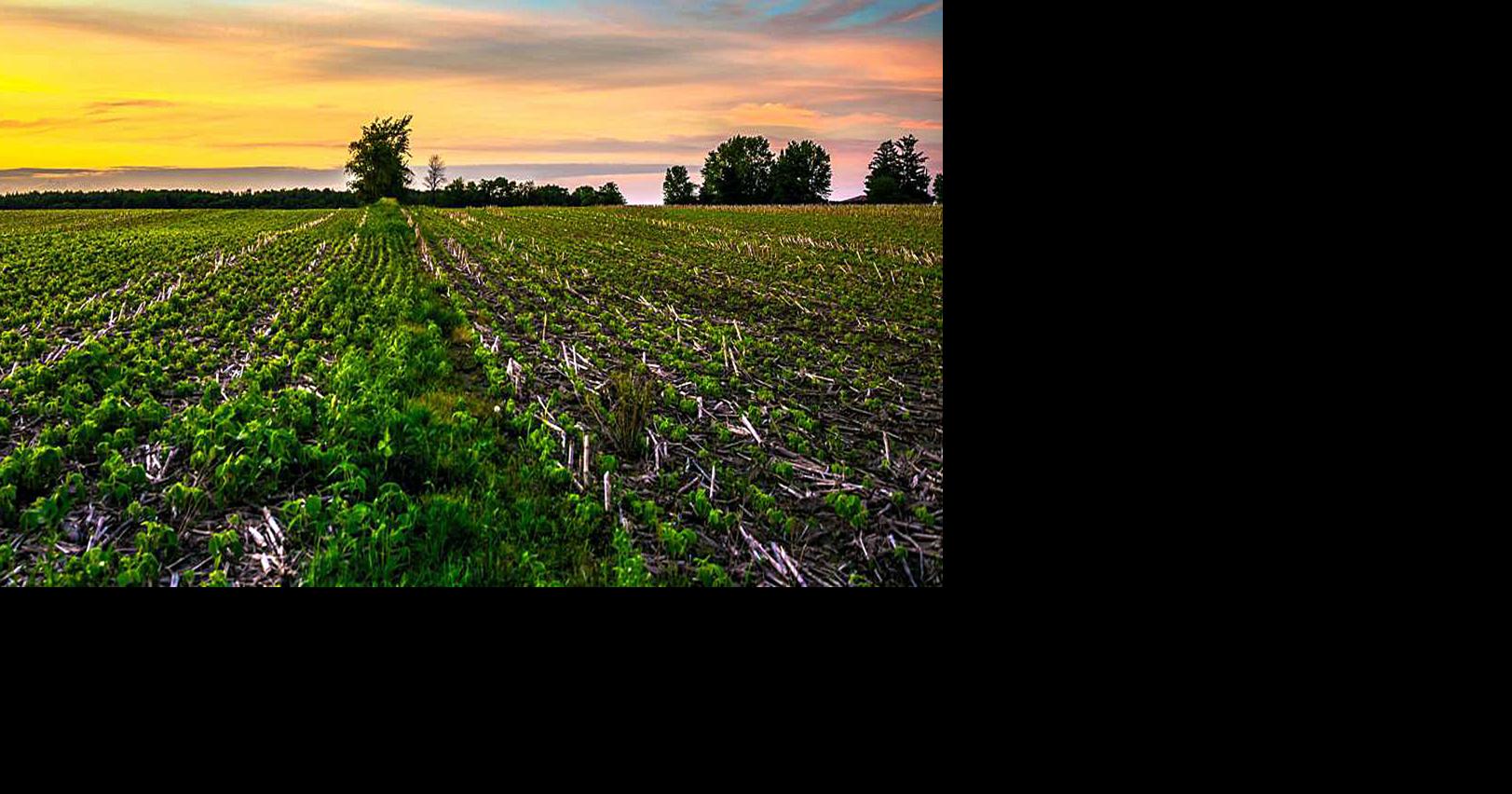 Lawmakers need to know why Indiana is dropping farmland | Life