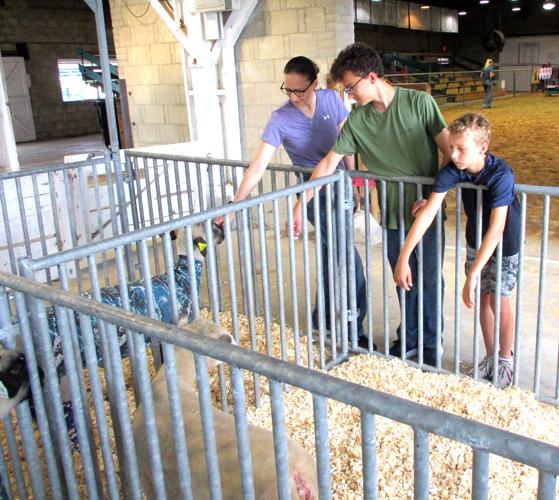 2026 Rush County Fair continues | Local News | greensburgdailynews.com