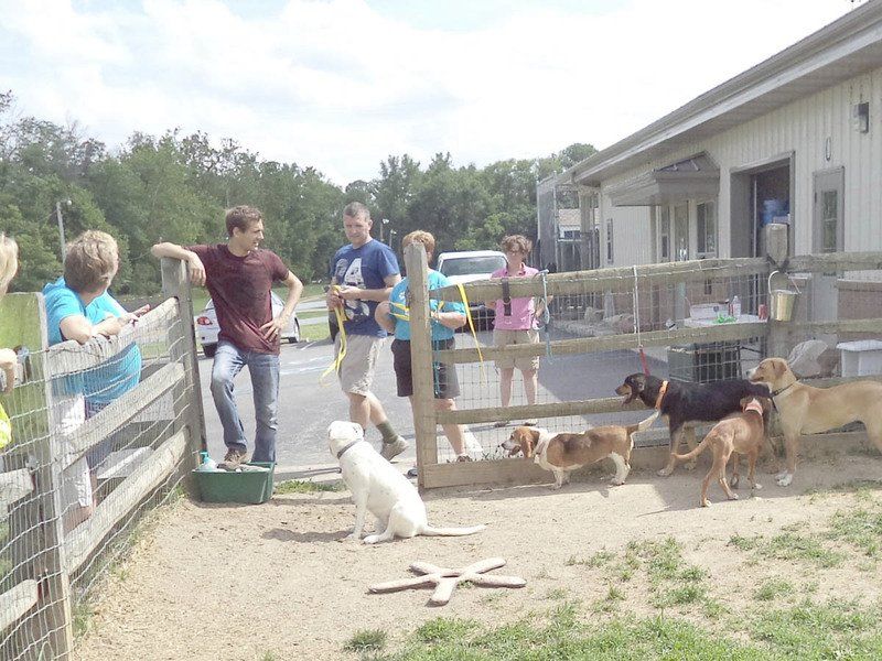 Workshop at animal shelter a success | Local News | greensburgdailynews.com