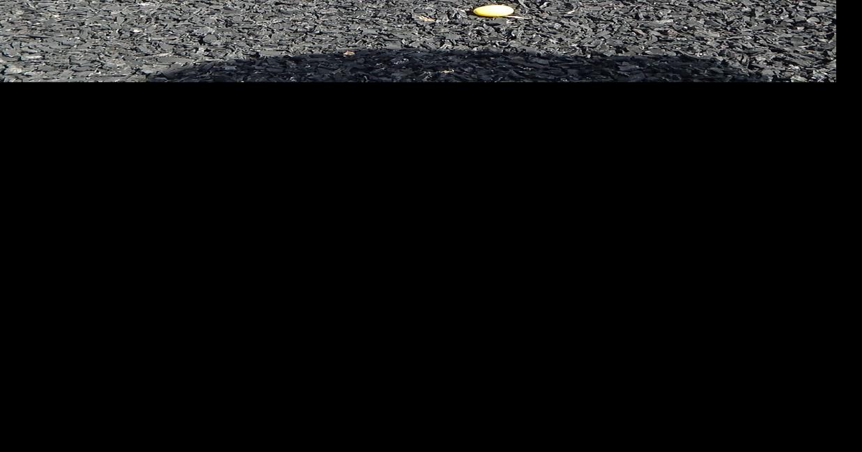 COMMUNITY EASTER EGG HUNT | Local News | greensburgdailynews.com