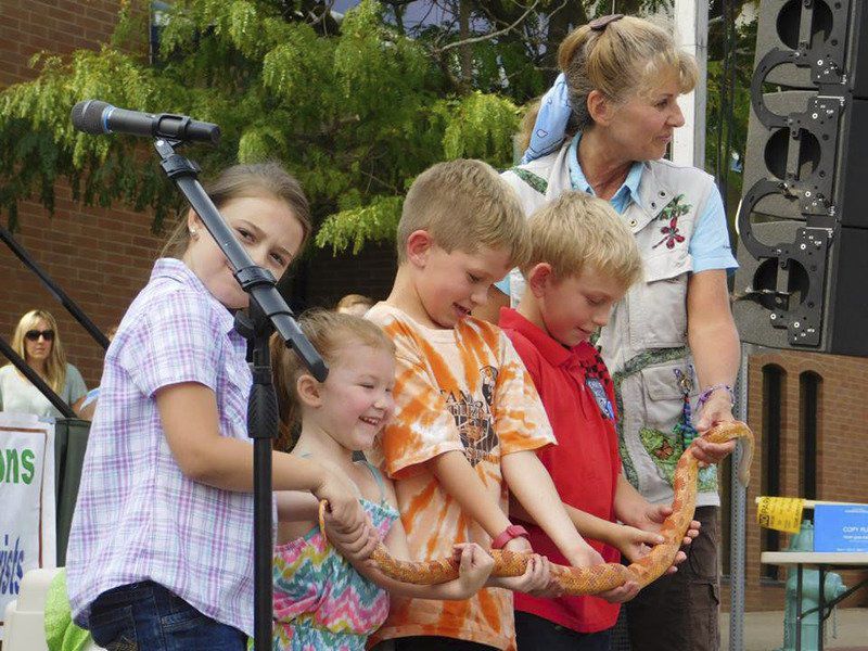 Fall Festival final lineup details Local News