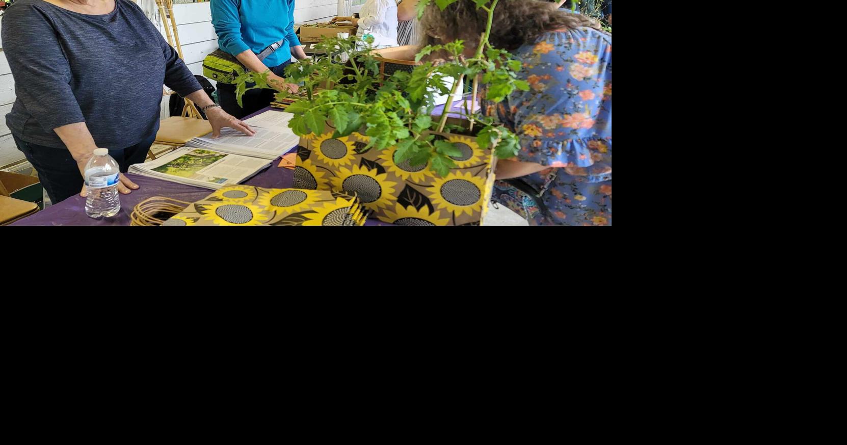 Come and get your green on! | Local News | greensburgdailynews.com