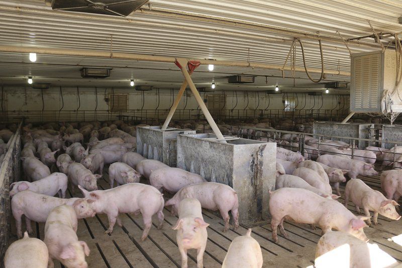 Confined animal feeding operations pose challenge News