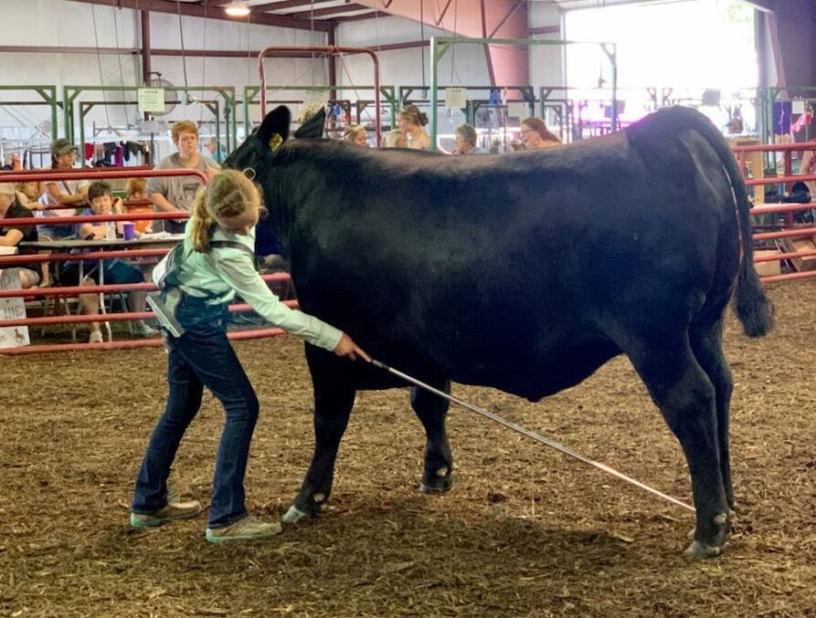 Best friends enjoy the fair - Vimarsana News