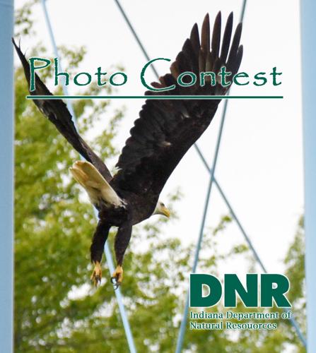 Art and photo contest for DNR hard card licenses