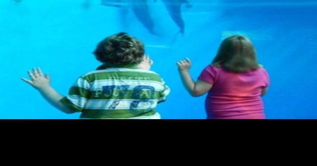 Family fun nearby at Indianapolis Zoo | Local News ...