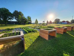 Volunteers needed at community garden