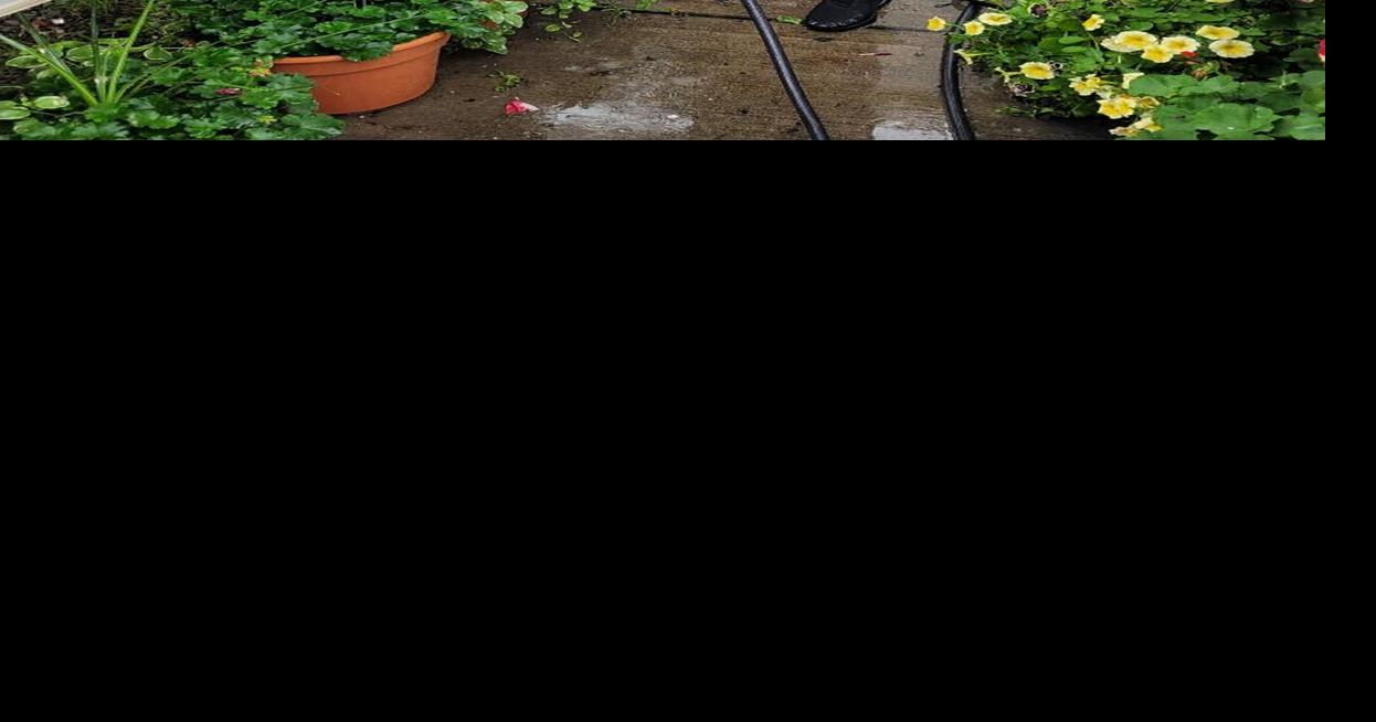 Greenhouse sale set for May 4, 5 Local News