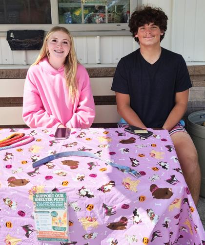 HELPING OUT AT THE ANIMAL SHELTER