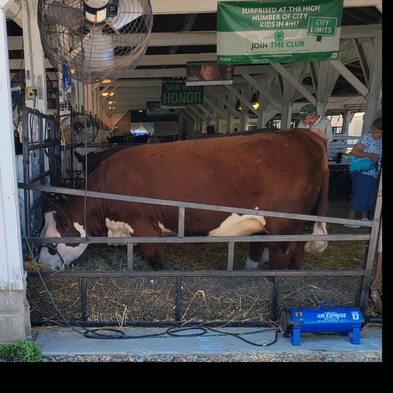 May is Better Hearing and Speech Month Community