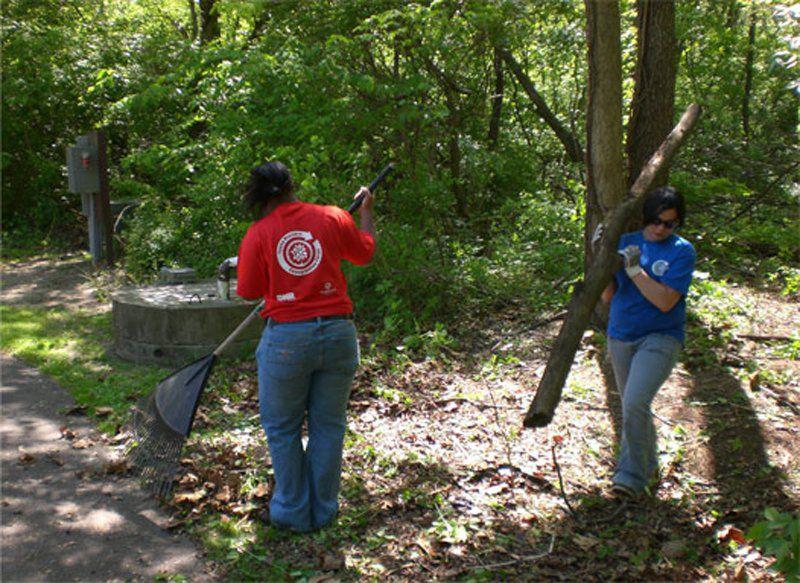 Free entry on DNR properties Columns