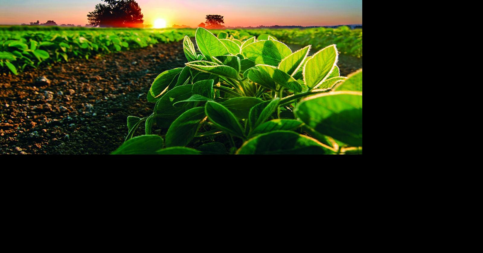 The foundations of sustainable farming