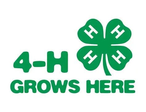2026 Decatur County 4-H Fair is a success