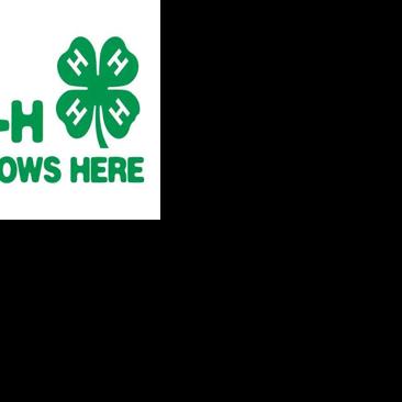 2026 Decatur County 4-H Fair is a success