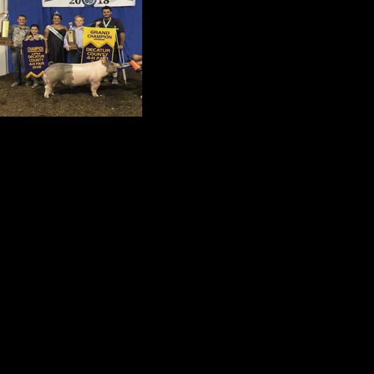 2018 Swine Show Results Decatur County Fair | Local News ...