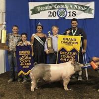Decatur Co. Fair 2018 Swine Show Results Decatur County Fair | Local News ...