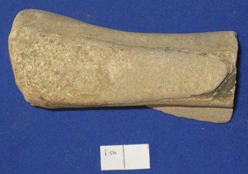 Resident paleontologist explains Indiana fossils Local News