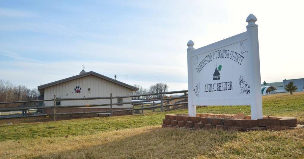 Animal Shelter to purchase incinerator - Vimarsana News