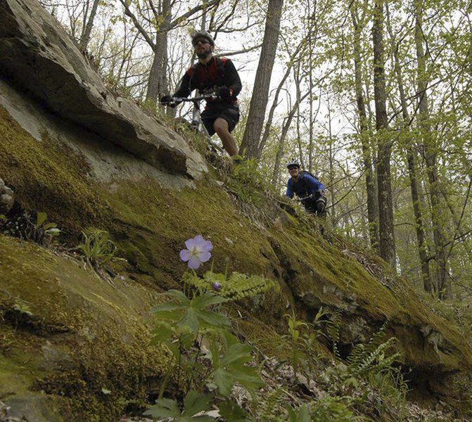 Grab your bike and hit the trails Local News