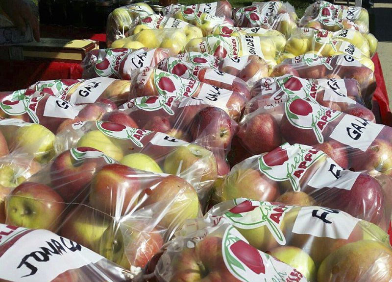 Farmers' market opens next week, brings free educational programs
