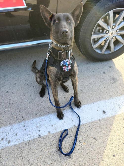 K-9 officer Reba receives gift