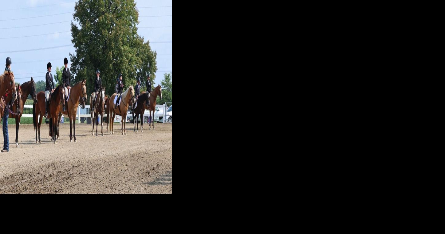 Boone County 4-H Fair celebrates horse and pony champions, 10-year members