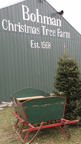 O Tannenbaum | Local News | greensburgdailynews.com