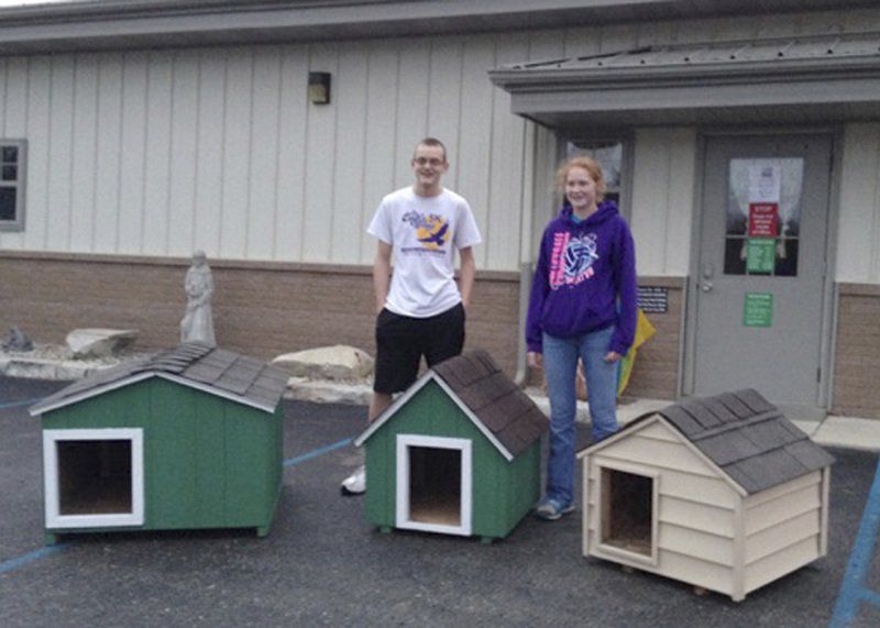 Animal Shelter Jobs For Highschool Students