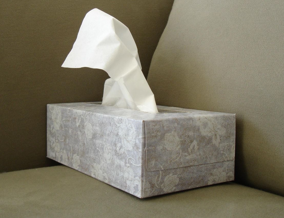 tissue-davidlat.jpg
