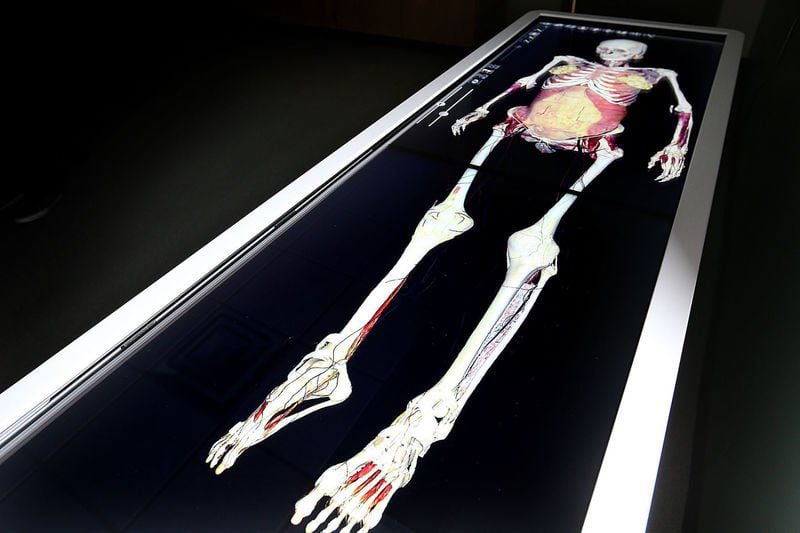 Ivy Tech adds Anatomage tables for digital cadaver experience | News ...