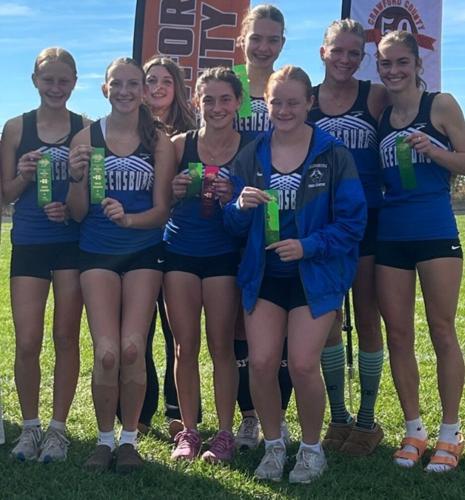Local harriers headed to cross country state finals