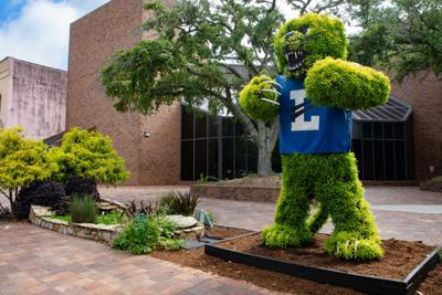 Topiary-Bearcat-Edited.jpg