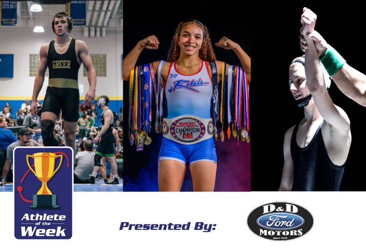 AOTHW - Photo Template (1200 x 630 px) 2-15 - GreerNews