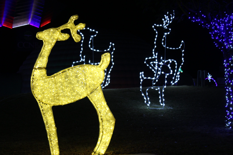 Screenshot 2025-11-28 231329.png