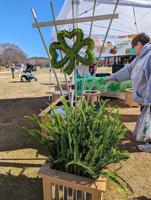 Four March events to celebrate the arrival of spring in Greer